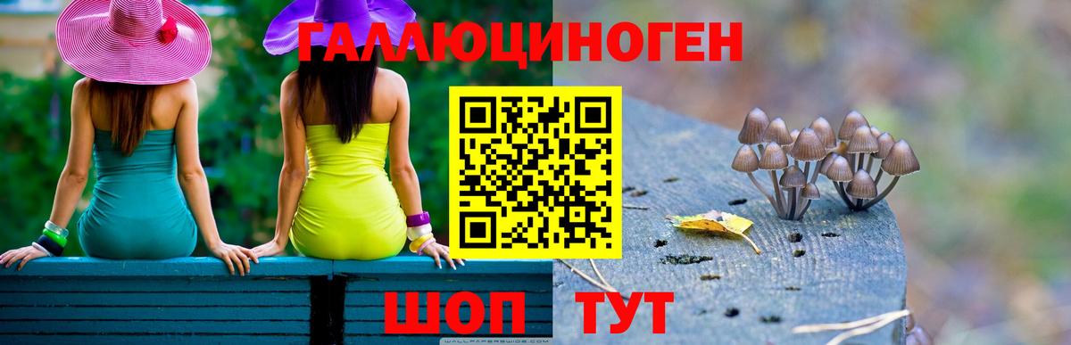 Алатырь  Галлюциногенные грибы мухоморы  Вход с VPN  Псилоцибиновые грибы MAGIC MUSHROOMS 